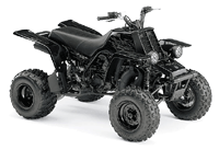 ���������� ����������� Yamaha (�����) ATV Banshee. ��������� �����������...