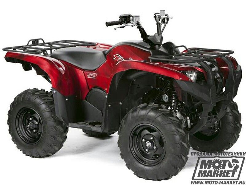 Yamaha Grizzly Special Edition Yamaha Grizzly Special Edition