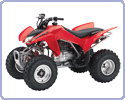 ���������� Honda TRX 250 X