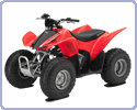 ���������� Honda TRX 90 X