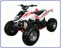 ���������� IRBIS ATV 110 S