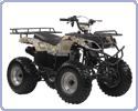 ���������� IRBIS ATV 200 U