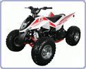 ���������� IRBIS ATV K 250