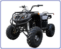 ���������� IRBIS ATV150 U