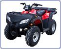���������� RATO 250 ST