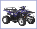 ���������� Keeway ATV 250