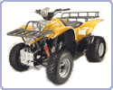 ���������� Vento Rhino