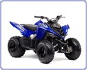 ������� ���������� Yamaha Raptor YFM 90 W