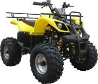 ���������� IRBIS ATV 110 U. ���� 1. ��������� �����������...