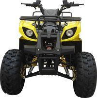 ���������� IRBIS ATV 110 U. ���� 2. ��������� �����������...