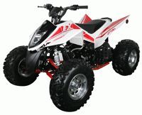 ���������� IRBIS ATV K 250. ���� 1. ��������� �����������...