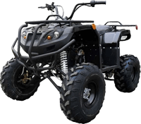 ���������� ATV Irbis (�����) ATV 150. ��������� �����������...