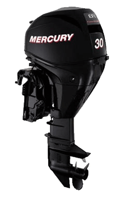 �������� ����� Mercury ME F 30 EL GA EFI. ����