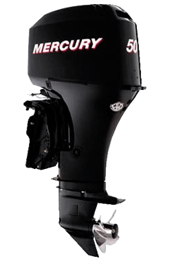 �������� ����� Mercury ME F 50 ELPT EFI. ����