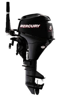 �������� ����� Mercury ME F 8 ML. ����