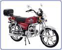 ����� Irbis Virago 110 (����� ������ 110)