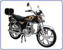 ����� Nexus Gladio 72 (������ ������ 72)
