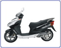 ������ Nexus Vector
