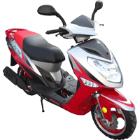 ������ Irbis Action. ��������� �����������...