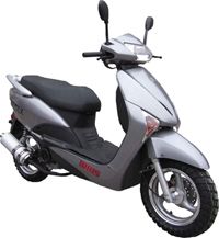 ������ Irbis SLX. ��������� �����������...