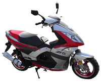 ������ Irbis ZRS. ��������� �����������...