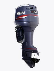 �������� ����� YAMAHA 150 FETOX