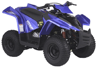��������� ���������� Keeway MINI ATV 50. ��������� �����������...