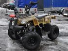  Irbis ATV 70 U ( ATV70U).    .  27.  .