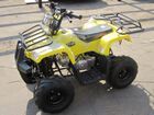  Irbis ATV 70 U ( ATV70U).    .  61.  .