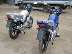  Yamaha YBR-125.    .  64.  .