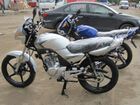  Yamaha YBR-125.    .  69.  .