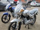  Yamaha YBR-125.    .  71.  .