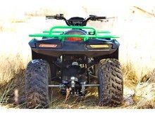  Irbis ATV 150 U ( 150), .  5