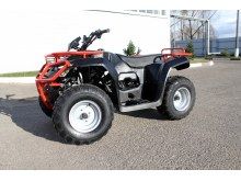  Irbis ATV 250 U ( 250), .  2