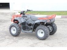  Irbis ATV 250 U ( 250), .  3