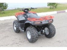  Irbis ATV 250 U ( 250), .  4