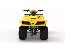  IRBIS ATV125 NEW 2021 ( ATV125 NEW 2021).  2