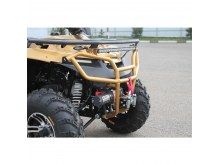  IRBIS ATV 200 PREMIUM ( ATV 200 PREMIUM).  4