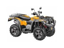  Stels ATV 600Y Leopard.  1