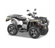  Stels ATV 600Y Leopard