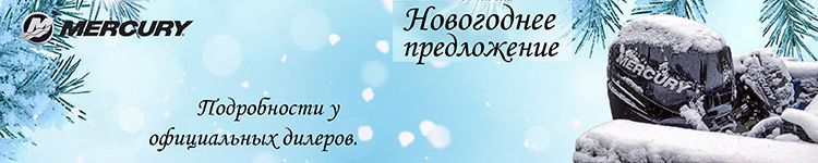 лодочные моторы 9.9 купить в кредитденьги под залог птс в воронеже кар мани