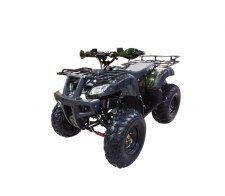  Wels Thunder 200cc ( ) (2019)