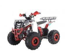 Квадроцикл Wels Thunder EVO (2019)