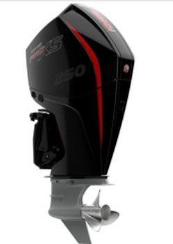   Mercury ME-F 250L PXS DS