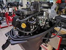    Allfa CG F 9.9MAX    381           24 .