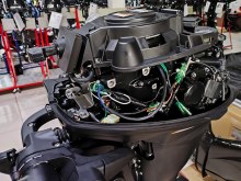   Allfa CG F9.9 MAX   -   ,      53.8    .