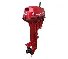   Allfa CG T 9.9 Limited