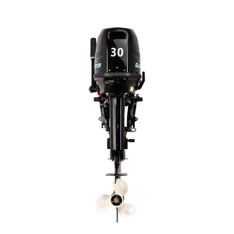   Gladiator G 30 FH (   ).  1