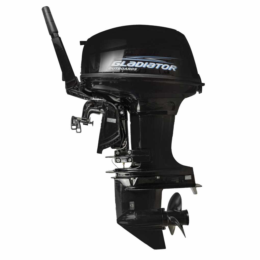   Gladiator G 40 FH (   ).  1