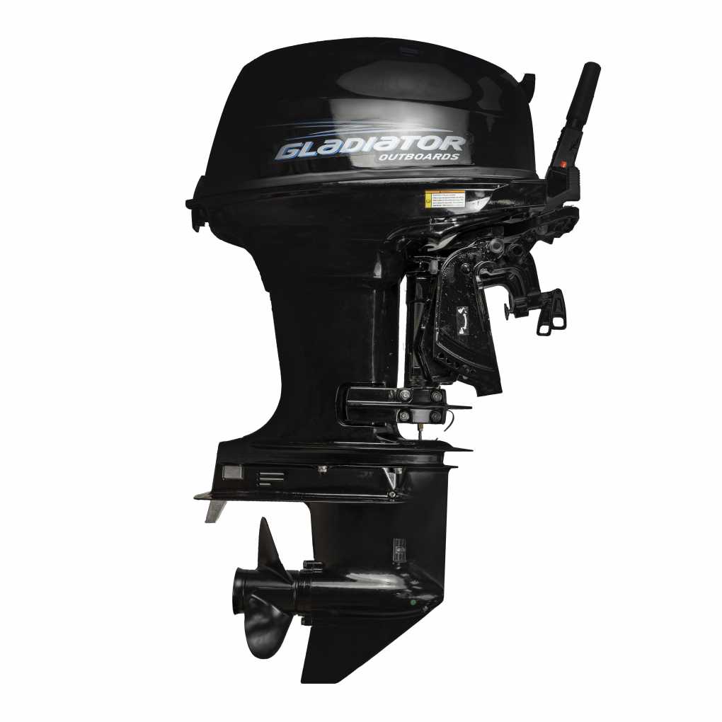   Gladiator G 40 FH (   ).  2